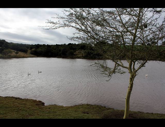 657HA FARM FOR SALE IN KOMGA RURAL